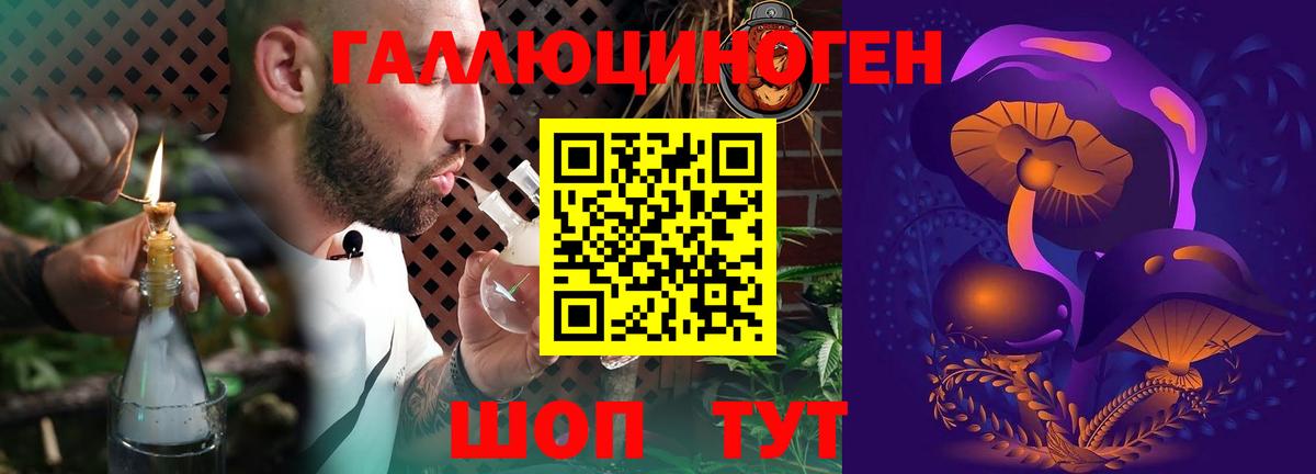 Галлюциногенные грибы Psilocybine cubensis Муравленко