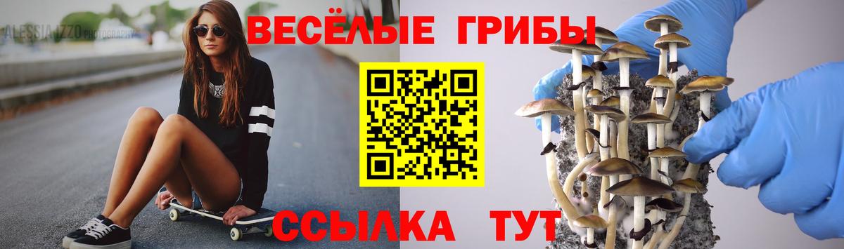 Муравленко  Галлюциногенные грибы Cubensis  Вход с VPN 